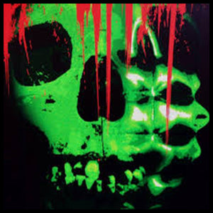 Collection of  in a gallery layout